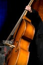 Acoustic double bass player Royalty Free Stock Photo