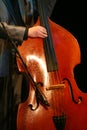 Acoustic double bass player - classic jazz. Royalty Free Stock Photo