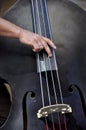 Acoustic double bass player