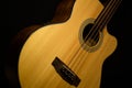 Acoustic fretless bass