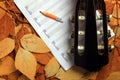 Acoustic guitar, blank music notes, pencil with autumn leaves background.