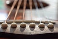 Acoustic guitar bridge with one pins and strings close up with selective shallow focus and blur Royalty Free Stock Photo