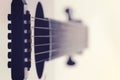 Acoustic guitar bridge pins close up Royalty Free Stock Photo