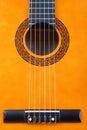 Acoustic guitar bridge and strings close-up