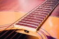 Acoustic guitar detail strings vulture on a light background