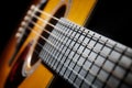 Acoustic guitar fret board Royalty Free Stock Photo