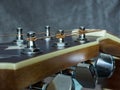 Acoustic guitar head with chrome shelves and stretched strings Royalty Free Stock Photo