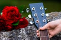 Acoustic guitar headstock and bouquet of red roses close up Royalty Free Stock Photo