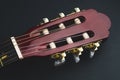 Acoustic guitar headstock close up. musical instrument