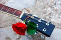 Acoustic guitar headstock decorated by red rose Royalty Free Stock Photo