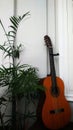 Acoustic guitar in home garden