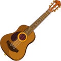 Acoustic guitar Royalty Free Stock Photo