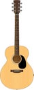 Acoustic Guitar Illustration Royalty Free Stock Photo
