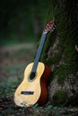 Acoustic guitar and tree in the forest music theme with acoustic guitar