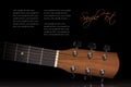 Acoustic Guitar Neck Royalty Free Stock Photo