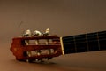 Acoustic Guitar, partial close-up view of headstock and capstan or string pos Royalty Free Stock Photo