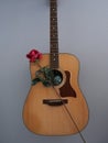 An acoustic guitar with a red rose Royalty Free Stock Photo