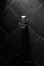 Acoustic guitar Royalty Free Stock Photo