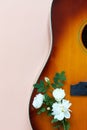 Acoustic guitar and wild blooming white roses on pastel coral color background. Top view, close up, copy space