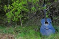 Acoustic Guitar in the woods