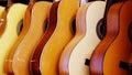 Acoustic guitars stand in rows. musical instruments