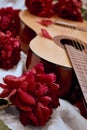 An acoustic wooden guitar lies on a white sheet surrounded by red peonies Royalty Free Stock Photo