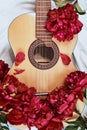 An acoustic wooden guitar lies on a white sheet surrounded by red peonies Royalty Free Stock Photo