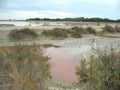 Acqua rosa nella salina di Saint Marie De La Mer in Camarga Royalty Free Stock Photo