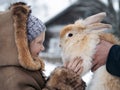 Acquaintance of little girl and a huge rabbit