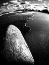 A log on the shores of Edgewater Park - LAKE ERIE - CLEVELAND - OHIO