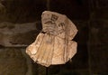 Fragments of a painted clay plate as exhibit at the exposition in the Crusader fortress of the old city of Acre in northern Israel