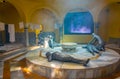 ACRE, ISRAEL, SEPTEMBER 12, 2018: Interior of hammam al Pasha in Akko, Israel