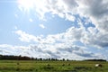 Sunny sky over acres of round hay bales in FingerLakes