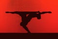 Acrobatic couple silhouette with pose of great difficulty