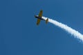 Acrobatic plane