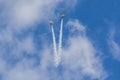 Acrobatic Stunt Planes RUS of Aero L-159 ALCA on Air During Aviation Sport Event Dedicated to the 80th Anniversary of DOSAAF
