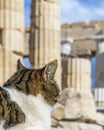 Acroplis Site Architecture Detail, Athens Royalty Free Stock Photo