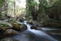 Across the river into the deep forest Royalty Free Stock Photo