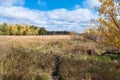 Across the Wetlands at Eagan Refuge Royalty Free Stock Photo