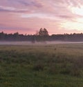 Acrostic the field is the morning mist of sunrise