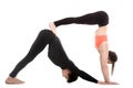 Acroyoga, downward-facing dog yoga pose Royalty Free Stock Photo