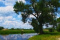 Acryl paintings of the Havel river landscape in summer. Land Brandenburg