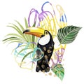 Acrylic abstract tropical composition of plants and toucan. Hand drawn card of bird, monstera and lines. Floral Royalty Free Stock Photo