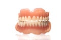 ACRYLIC DENTURE- FULL FRONT SET Royalty Free Stock Photo