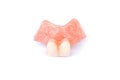 Acrylic dentures isolated on white background. Removable dentures flexible. False teeth
