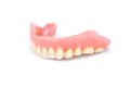 Acrylic dentures isolated on white background. Removable dentures flexible. False teeth Royalty Free Stock Photo