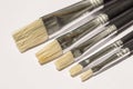 Acrylic Flat Paintbrush Royalty Free Stock Photo