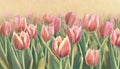 Acrylic illustration of blooming pink tulips field. Beautiful spring flowers. Royalty Free Stock Photo