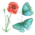 Acrylic image of wildflowers and butterflies on a white background. Royalty Free Stock Photo