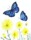 Acrylic image of wildflowers and butterflies on a white background. Royalty Free Stock Photo